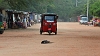 J18_3644-Dog-vs-tuk-tuk